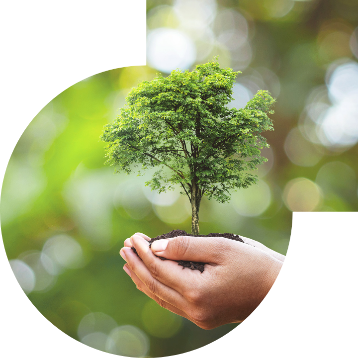 關懷人類、文化、環境與社會